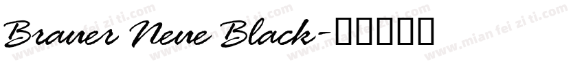 Brauer Neue Black字体转换